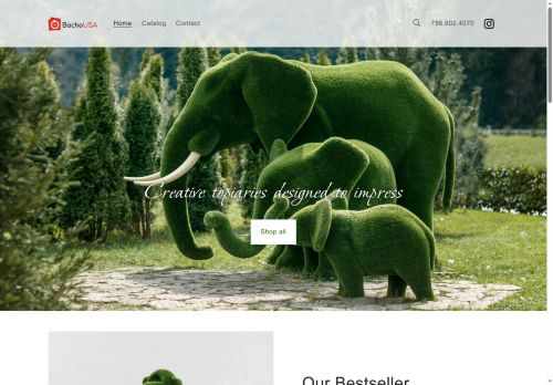 bachousa.com capture - 2025-05-07 11:14:51