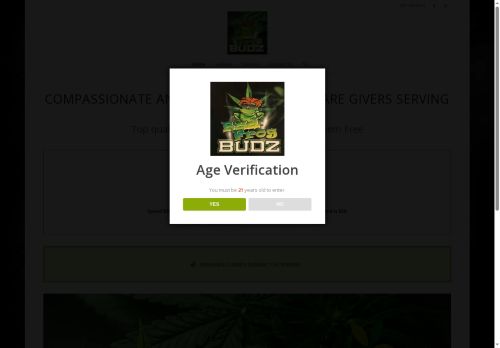 badfrogbudz.com capture - 2025-05-07 13:00:58