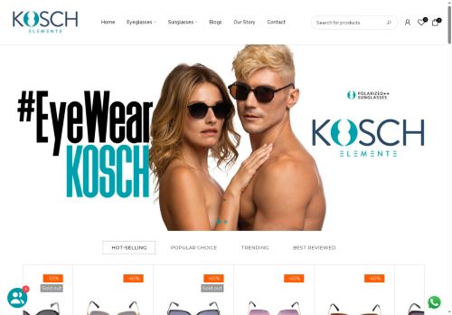 koschworld.com capture - 2025-05-07 14:00:27