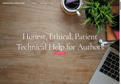 bakerviewconsulting.com capture - 2025-05-07 16:45:15