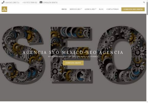 mex-seo.com capture - 2025-05-07 16:48:47