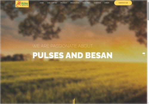 shriniwasfood.com capture - 2025-05-07 21:43:45