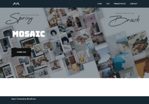 themosaicapp.com capture - 2025-05-08 03:51:42