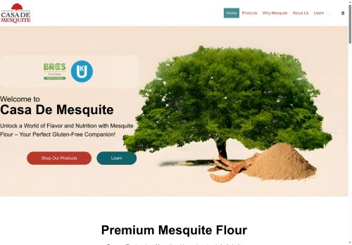 casademesquite.com capture - 2025-05-08 18:00:40