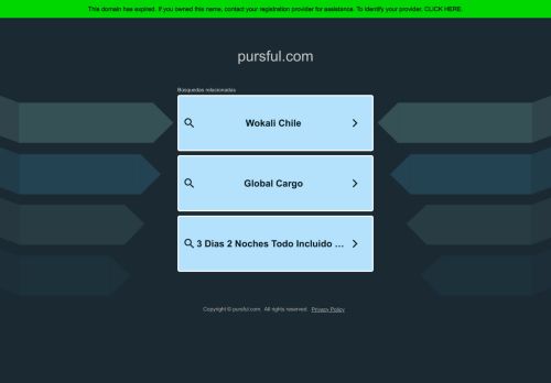pursful.com capture - 2025-05-09 01:55:57