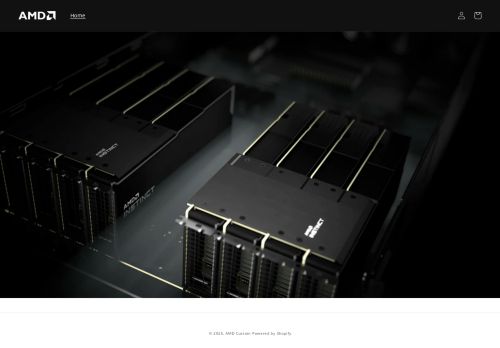 amdcustom.com capture - 2025-05-09 01:58:05