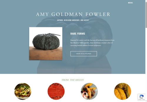 amygoldmanfowler.com capture - 2025-05-09 03:24:00