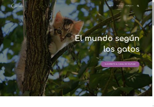 elmundosegunlosgatos.com capture - 2025-05-09 16:47:04