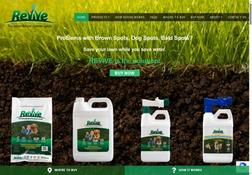 revive.com capture - 2025-05-09 17:28:52