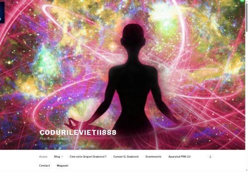 codurilevietii888.com capture - 2025-05-09 18:58:43