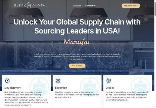 blinkglobal.com capture - 2025-05-09 23:40:14