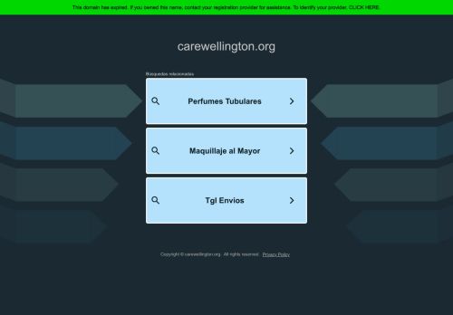 carewellington.org capture - 2025-05-10 00:18:46