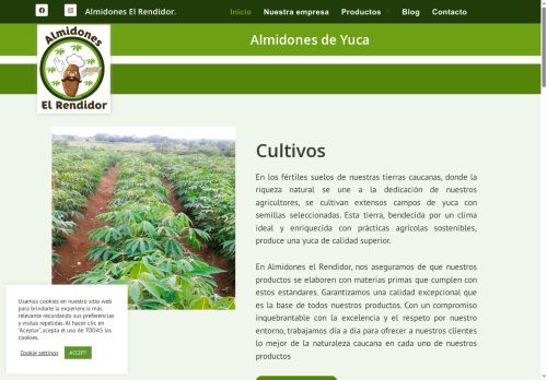 almidoneselrendidor.com capture - 2025-05-11 18:41:07