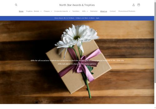 northstarawards.com capture - 2025-05-11 19:40:21