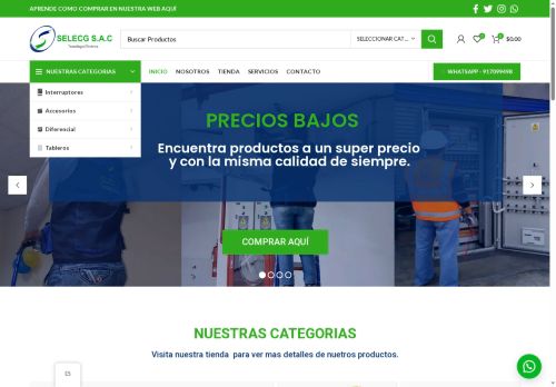 selecg.com capture - 2025-05-11 20:29:55