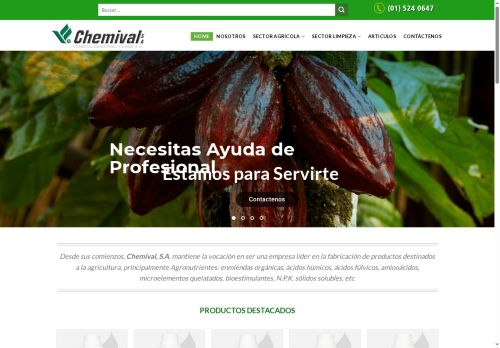 chemivalsa.com capture - 2025-05-11 20:34:14