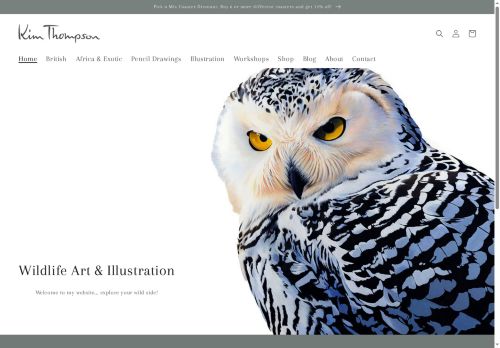 kimthompsonartist.com capture - 2025-05-12 01:40:30