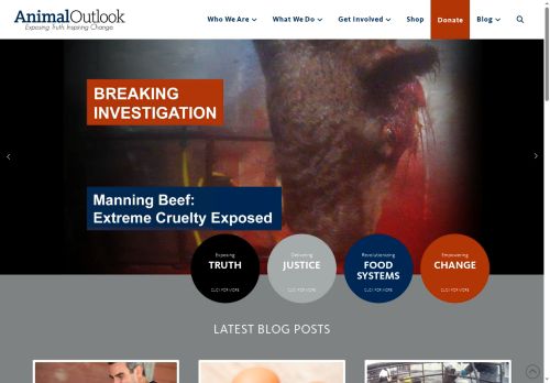 dcvegfest.com capture - 2025-05-12 01:59:35