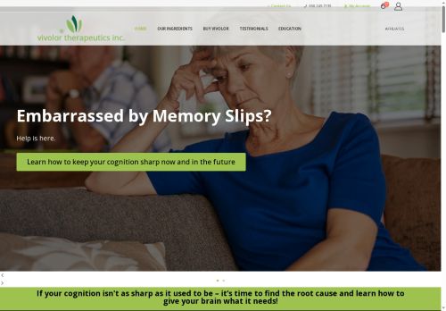 vivolor.com capture - 2025-05-12 05:11:34