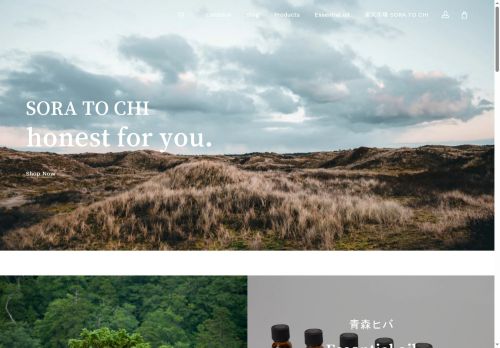 sora-to-chi.com capture - 2025-05-12 08:22:33