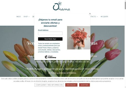 floresohana.com capture - 2025-05-12 08:45:33