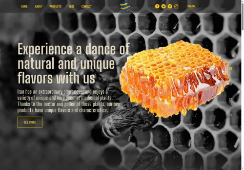 exportset.com capture - 2025-05-12 18:33:55