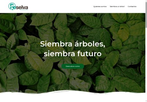 reselva.org capture - 2025-05-13 00:27:48