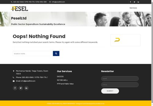 peselltd.com capture - 2025-05-13 01:17:25
