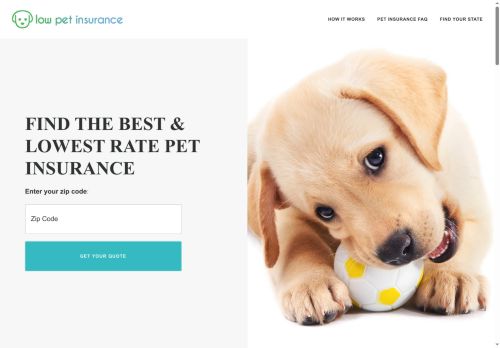 lowpetinsurance.com capture - 2025-05-13 03:20:53
