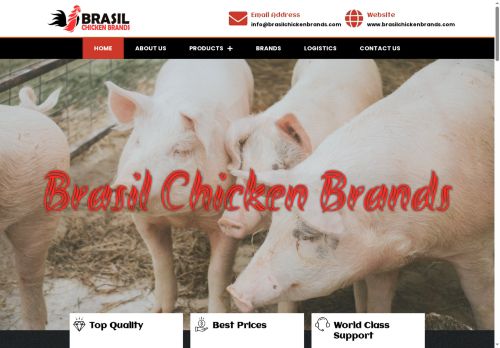 brasilchickenbrands.com capture - 2025-05-13 05:19:39