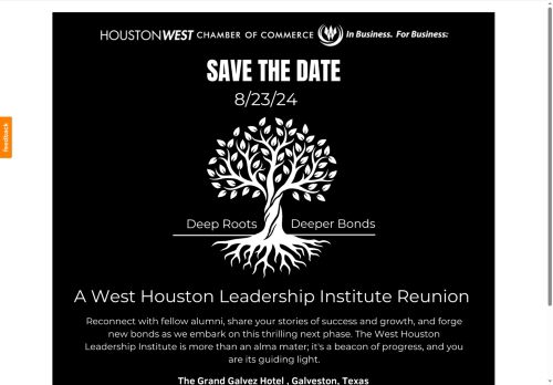 whli.net capture - 2025-05-13 05:35:23