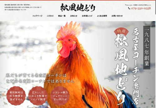 jidori-matukaze.com capture - 2025-05-13 10:04:32