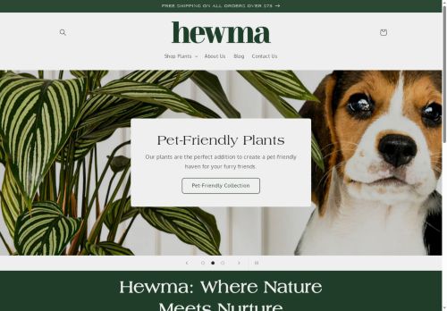 hewma.com capture - 2025-05-13 10:22:51