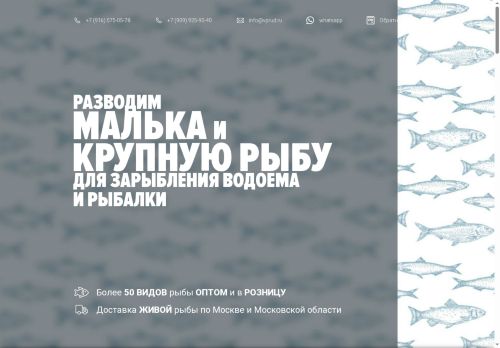 xn----7sbbcqeamm2ax1afi9b1h.xn--p1ai capture - 2025-05-13 16:08:11