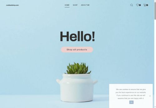 coolbackdrop.com capture - 2025-05-13 20:08:48