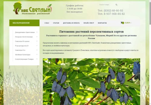 xn----dtbjqbj3bknk6e.xn--p1ai capture - 2025-05-13 23:58:50