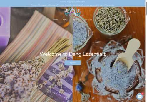 dangessentials.com capture - 2025-05-14 00:07:45