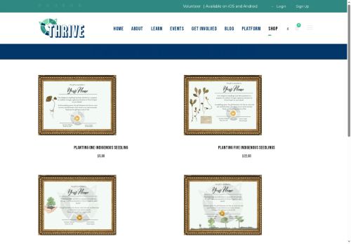 thrivabilitymatters.store capture - 2025-05-14 00:54:56