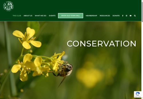 wiltongardenclub.org capture - 2025-05-14 01:37:34