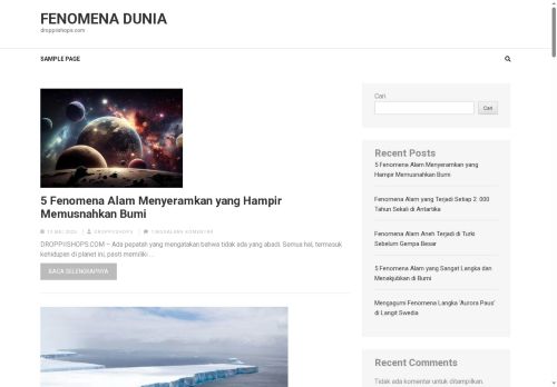 droppiishops.com capture - 2025-05-14 06:12:08