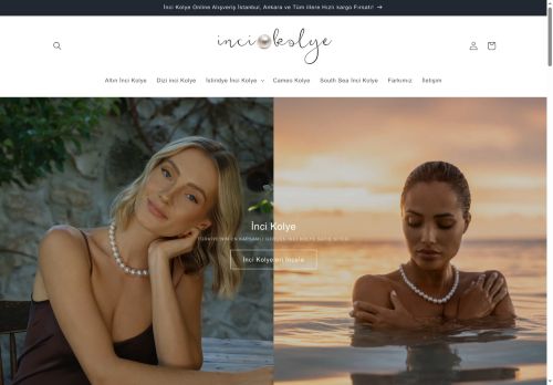 vipinci.com capture - 2025-05-14 07:33:45