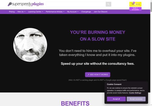 affiliatewebdesigners.com capture - 2025-05-14 15:53:36