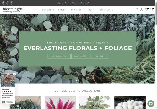 incfirm.net capture - 2025-05-14 23:02:00