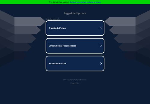 bigpaintchip.com capture - 2025-05-14 23:48:03