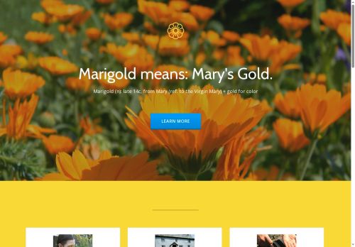 marigold.foundation capture - 2025-05-15 05:47:00