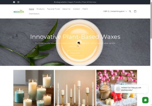 ecosoyabrands.com capture - 2025-05-15 09:23:57