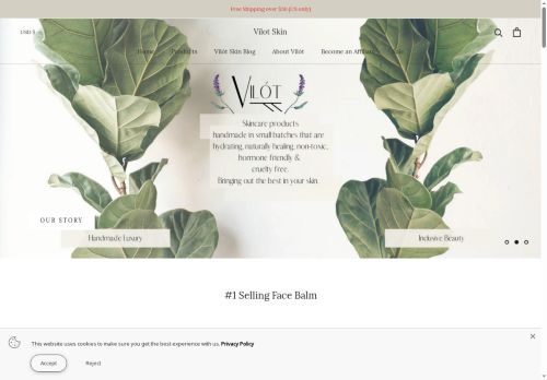 vilotskin.com capture - 2025-05-15 18:16:17