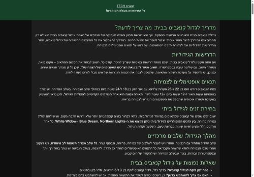 CIITECH capture - 2025-05-15 21:55:38