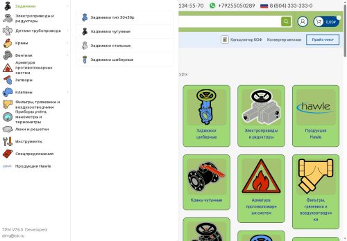 tehprommarket.ru capture - 2025-05-15 23:01:12