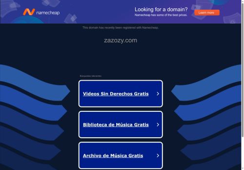 zazozy.com capture - 2025-05-16 14:21:50